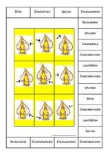 Bingo-Teile-der-Zwiebel-1B.pdf